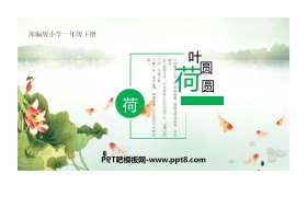 《荷叶圆圆》PPT精品课件