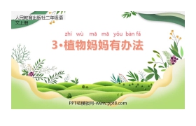 《植物妈妈有办法》PPT教学课件免费下载