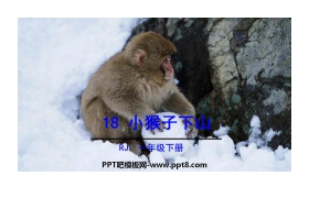 《小猴子下山》PPT精品课件