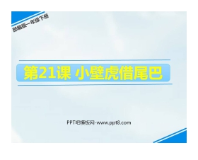 《小壁虎借尾巴》PPT免费课件