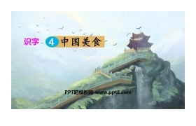 《中国美食》PPT精品课件下载