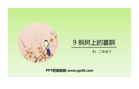 《枫树上的喜鹊》PPT课文课件