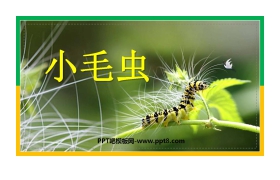 《小毛虫》PPT教学课件下载