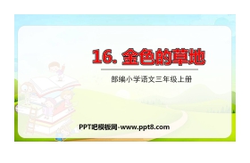 《金色的草地》PPT免费课件下载