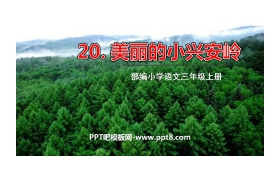 《美丽的小兴安岭》PPT免费课件下载