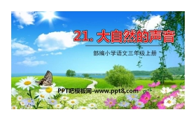 《大自然的声音》PPT精品课件下载