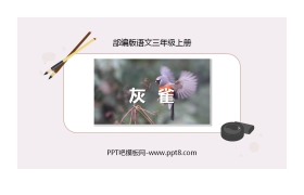 《灰雀》PPT免费课文课件