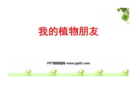 《我的植物朋友》PPT精品课件