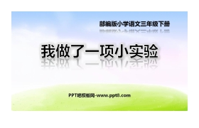 《我做了一项小实验》PPT免费课件