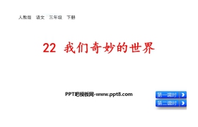 《我们奇妙的世界》PPT免费课件