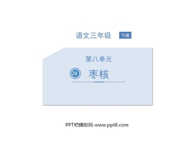 《枣核》PPT优质课件