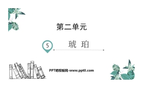 《琥珀》PPT免费课件