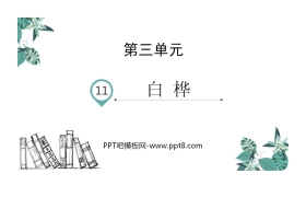 《白桦》PPT免费下载