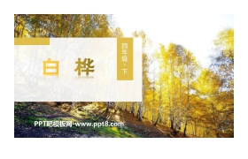 《白桦》PPT精品课件