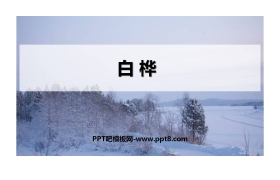 《白桦》PPT优秀课件