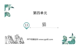 《猫》PPT优秀课件下载