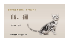 《猫》PPT课文课件