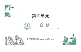 《白鹅》PPT免费课件