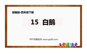 《白鹅》PPT免费下载