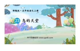 《鸟的天堂》PPT课文课件下载