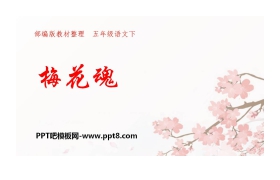 《梅花魂》PPT优质课件