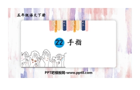 《手指》PPT教学课件