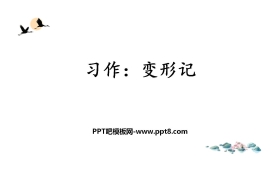 《变形记》PPT免费下载