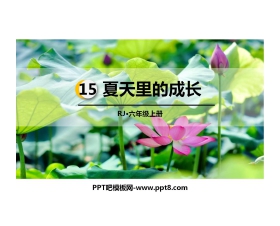 《夏天里的成长》PPT课文课件