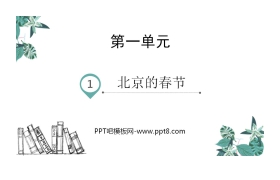 《北京的春节》PPT优质课件