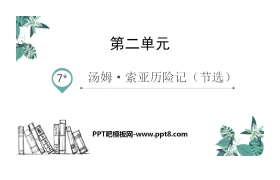 《汤姆·索亚历险记》PPT优秀课件