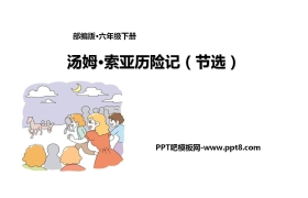 《汤姆·索亚历险记》PPT课文课件