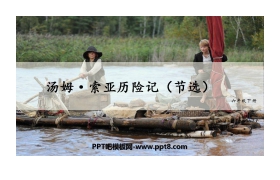 《汤姆·索亚历险记》PPT优质课件