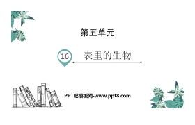 《表里的生物》PPT精品课件