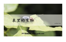 《表里的生物》PPT优秀课件