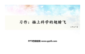 《插上科学的翅膀飞》PPT教学课件