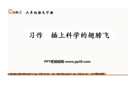 《插上科学的翅膀飞》PPT精品课件